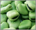 Broad Beans