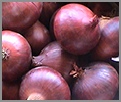 Onion (Fresh)