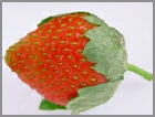 Strawberry (Fresh)