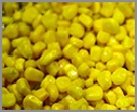 Sweet Corn